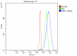 Anti-SND1 Antibody Picoband™ (monoclonal, 5F5E9)